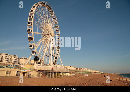 Die Brighton Wheel (Riesenrad) auf Brighton Seafront, East Sussex, England. Stockfoto