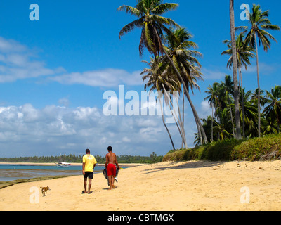 Ehepaar und Hund ein Spaziergang entlang der schönen Strand mit Palmen an der Praia Forte, Brasilien Stockfoto