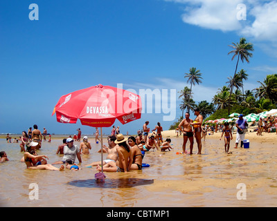 Familien, Baden und genießen Sie den schönen Strand von Praia Forte, Brasilien, mit Palmen im Hintergrund Stockfoto