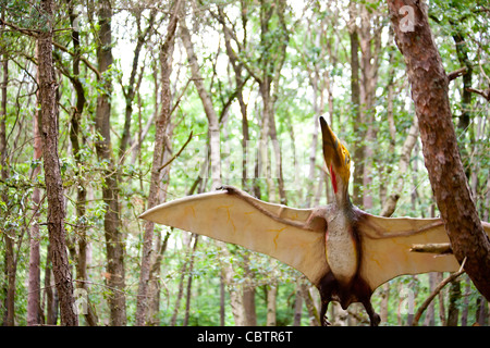 Pterodactylus in Wäldern Stockfoto