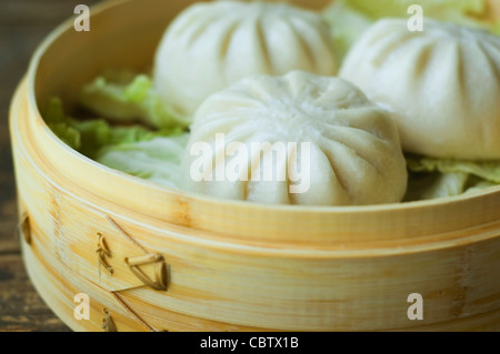 Asiatische Knödel in Dampfer mit Kohl Stockfoto