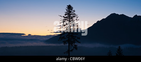 Dawn Silhouette der hohen Tatra, Polen Stockfoto