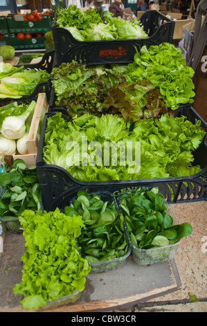 Salat-Markt am Piazza Delle Erbe Altstadt Verona Veneto Region Nord Italien Europa Stockfoto