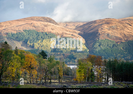 Druim Ghlaoidh, Loch Lochy, Highlands Schottland, an einem schönen herbstlichen Tag. Stockfoto