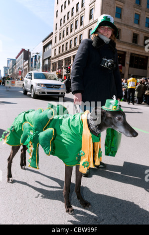 Frau und Greyhound Hund trägt ein irische Outfit am St. Patricks Day parade in Montreal, Québec, Kanada. Stockfoto