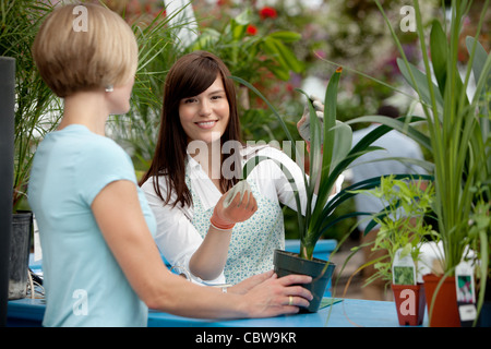 Arbeiter, die Kunden helfen, mit Pflanzen im Garten-center Stockfoto