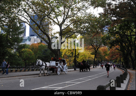 Herbst Bäume, Ansicht, zwei Kutschen, Menschen, Läufer, ansteigenden Hang Mittenantrieb, Central Park South, New York Stockfoto