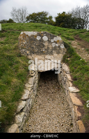 Uley Long Barrow (Hetty Pegler Tump) in der Nähe von Uley, Gloucestershire, UK Stockfoto