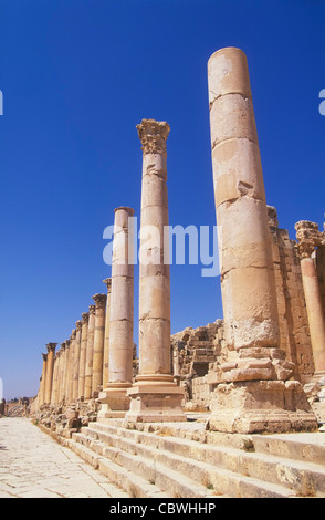 Säulen aus Kalkstein von Cardo Rabin North Jordanien Naher Osten Stockfoto