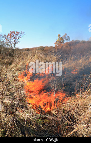 Feuer auf Herbst Feld Stockfoto