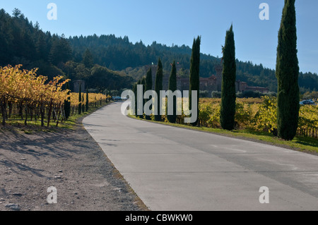 Auffahrt zum Castello di Amorosa ein italienisches Schloss Weingut im nördlichen Teil des Napa Valley in Kalifornien Stockfoto