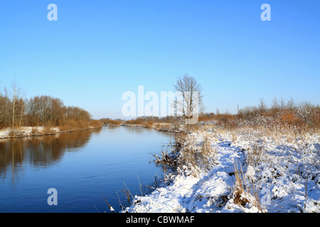 Eiche am Fluss Stockfoto