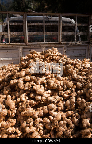 Indien, Arunachal Pradesh, Panging Dorf, Landwirtschaft, Pickup-Truck voller frischer Ingwer Stockfoto