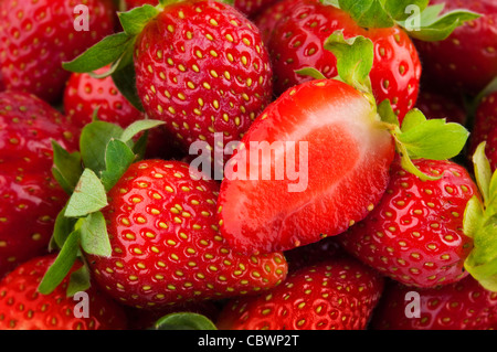 Perfekte Erdbeeren reif Full-Frame-Hintergrund Stockfoto