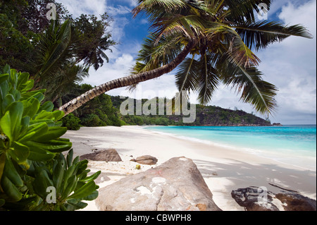 Four Seasons resort Strand, Mahe, Seychellen Stockfoto