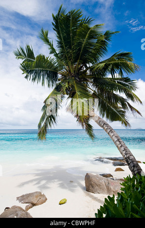 Four Seasons resort Strand, Mahe, Seychellen Stockfoto