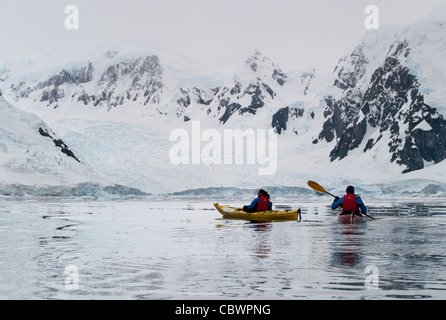 KAJAKS, SKONTORP COVE, PARADISE HARBOUR ANTARKTIS Stockfoto