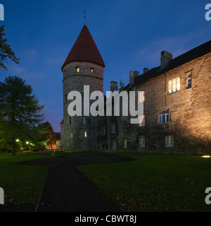 Stadtmauer und Turm, Tallinn, Estland Stockfoto