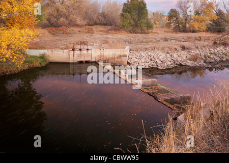 Flusswehr mit Wasser fließt in Bewässerung Graben Inlet, Cache La Poudre River Fort Collins, Colorado Stockfoto