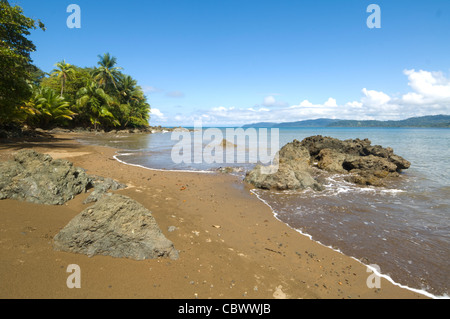 Drake Bay Halbinsel Osa Costa Rica Stockfoto