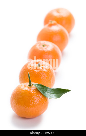 Clementine Orangen hintereinander isoliert auf weißem Hintergrund Stockfoto