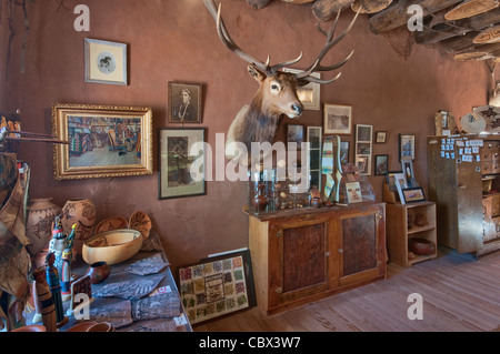 Elch Kopf, historische Artefakte an Hubbell Trading Post National Historic Site, Navajo Indian Reservation, Ganado, Arizona, USA Stockfoto