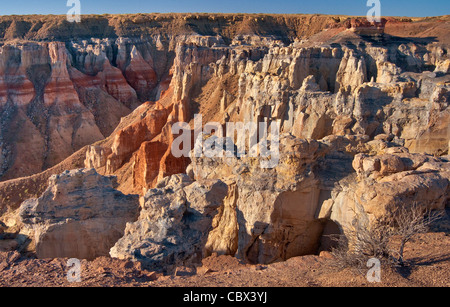 Felsformationen in Coal Mine Canyon im Coal Mine Mesa, Moenkopi Plateau, Navajo Indian Reservation, in der Nähe von Tuba City, Arizona, USA Stockfoto