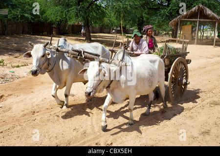 Ein Ochsenkarren trägt zwei Bauern in Bagan, Myanmar Stockfoto