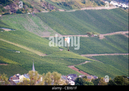 Ein angetriebener Gleitschirm fliegt mitten in den Weinbergen an der Mosel, Rheinland-Pfalz, Deutschland Stockfoto