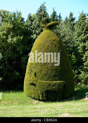 Eibe Baum Hecke Stockfoto