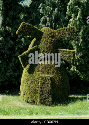 Eibe Baum Hecke Stockfoto