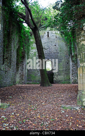 Die Ruinen der Kirche der Heiligen Maria in einem Wald bei East Somerton, Norfolk, England, Vereinigtes Königreich. Stockfoto