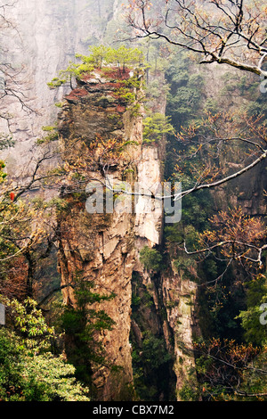 Zhangjiajie National Forest Park, Provinz Hunan (China). Stockfoto