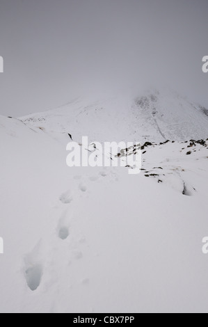 Spuren im Tiefschnee in Bergen im englischen Lake District. Seat führt auf hohen Felsen über dem Buttermere Stockfoto