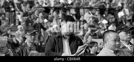 Sha Tin, Hong Kong. Zuschauer an der Rennstrecke des Hong Kong Jockey Club. Stockfoto