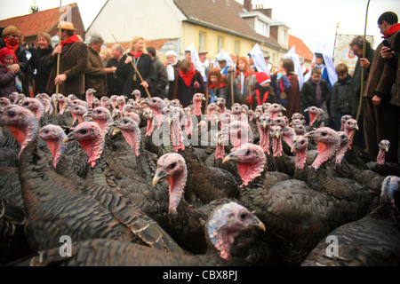 Licques Fete De La Dinde, Türkei Festival Licques in der Nähe von Calais, Pas-De-Calais, Frankreich.  Jeweils im Dezember statt Stockfoto