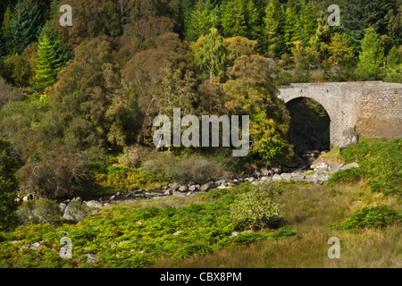 Ostern-Farn brennen, Ross & Cromarty, Schottland Stockfoto