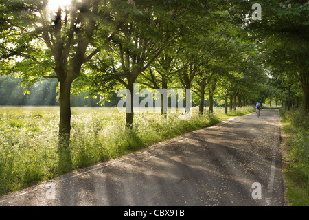 Landstraße am frühen Morgen im Frühling mit einsamen Radrennfahrer - horizontal Stockfoto