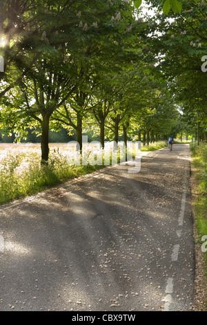 Landstraße am frühen Morgen im Frühling mit einsamen Radrennfahrer im Hintergrund - vertikal Stockfoto