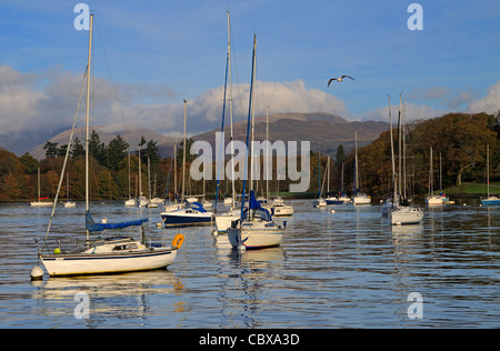 Segelboote vor Anker in Bowness-on-Windermere, Cumbria, UK. In der ruhigen Bucht in der Nähe der Fähre sind Yachten ankern. Stockfoto