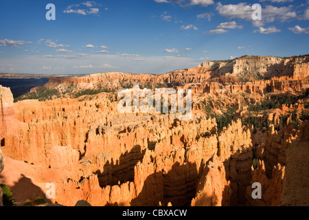 Licht und Schatten in der späten Nachmittagssonne in Bryce Amphitheatre, Bryce-Canyon-Nationalpark, Utah. Stockfoto