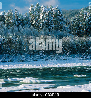 Biya Fluss im Winter, Altai, Sibirien, Russland Stockfoto