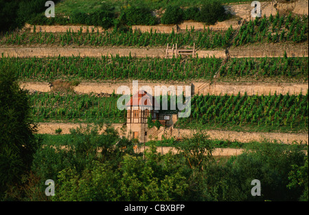 Weingut mit des Winzers Hütte in Freyburg, ein Premium-Bereich für Weinbau in Sachsen-Anhalt, DDR Stockfoto