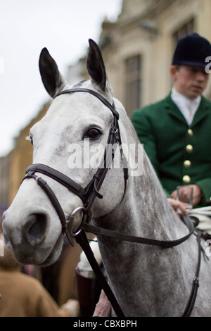 Die Heythrop Hunt am Boxing Day treffen in Chipping Norton Stockfoto