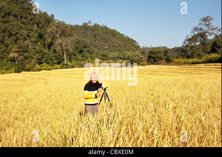 Frau, stützte sich auf einem Stativ stehend in einem Reisfeld bereit für die Ernte, Thailand, Asien Stockfoto