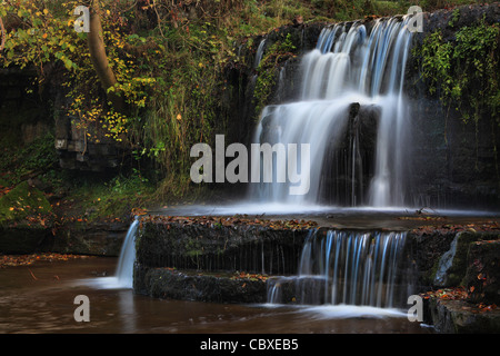 Ein kleiner Wasserfall auf dem Fluss Nidd nahe Lofthouse in Nidderdale, Yorkshire, England Stockfoto