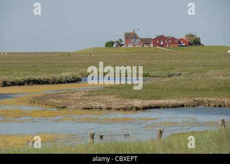 Auf Hallig Hooge, einer kleinen Insel in der Wadden Meer von Nordfriesland, sind alle Häuser auf künstlichen irdenen Grabhügel genannt Warft errichtet. Stockfoto