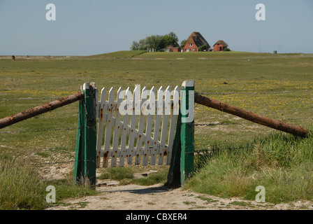 Auf Hallig Hooge, einer kleinen Insel in der Wadden Meer von Nordfriesland, sind alle nach Hause auf künstliche irdenen Grabhügel genannt Warft gebaut. Stockfoto