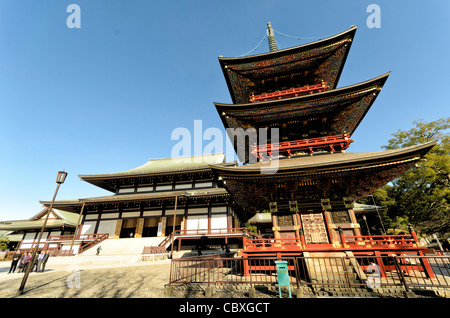 NARITA, Japan – kunstvoll bemalte Dachbalken der dreistöckigen Pagode im Naritasan Shinshoji-Tempel. Dieses 25 Meter hohe Gebäude, das ursprünglich 1712 erbaut wurde, zeigt lebendige Farben und komplizierte Designs und veranschaulicht die reichen künstlerischen Traditionen der japanischen buddhistischen Architektur und des Symbolismus. Stockfoto