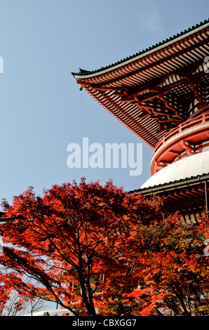 Die Daitou oder große Tempel, erbaut im Jahre 1984, steht über 58 Meter hoch auf dem Gipfel Narita Berges. Der Narita-San Tempel, auch bekannt als Shinsho-Ji (New Victory Tempel), Shingon buddhistische Tempelanlage, 940 in der japanischen Stadt Narita, östlich von Tokio gegründet. Stockfoto